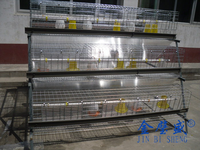 �A��ʽ�B(y��ng)�u�O��-�r�u