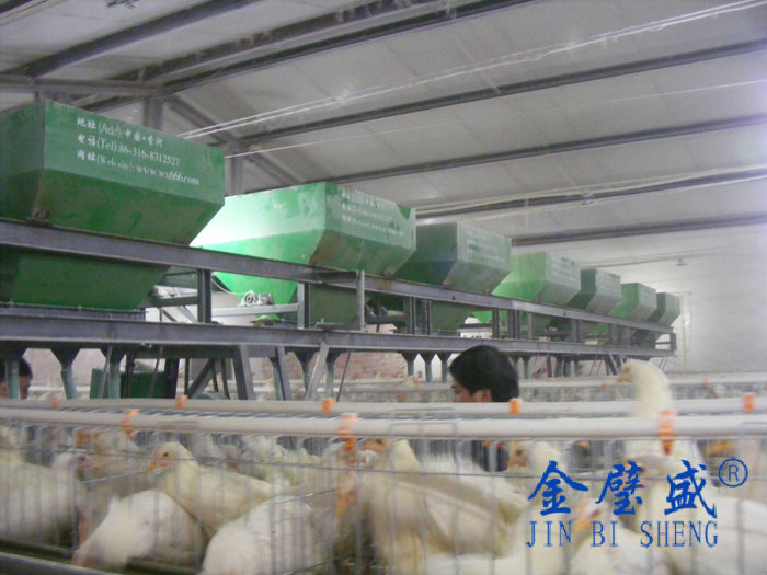 �A��ʽ�B(y��ng)�u�O��-���u