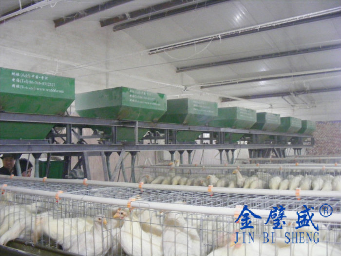 �A��ʽ�B(y��ng)�u�O��-���u