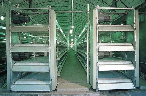 �Ԅ�(d��ng)��Sϵ�y(t��ng)1