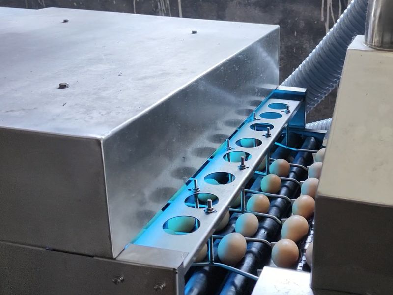 ���⾀����