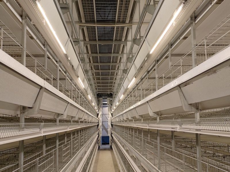 5��12�ӆΗ�15�f(w��n)��